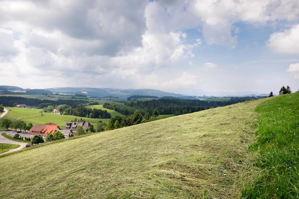 Gasthaus Sonne Neuhaeusle Sankt Märgen エクステリア 写真